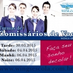 CURSO COMISSÁRIO DE VOO  |  Cursos, Escolas de Aviação