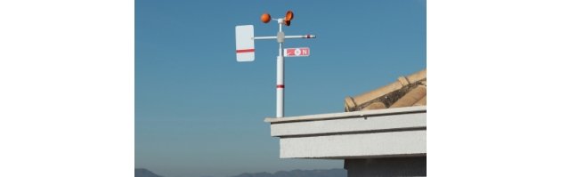 Eliane Maria Belo - Marcelo